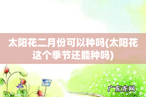 太阳花这个季节还能种吗 太阳花二月份可以种吗