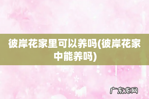 彼岸花家中能养吗 彼岸花家里可以养吗