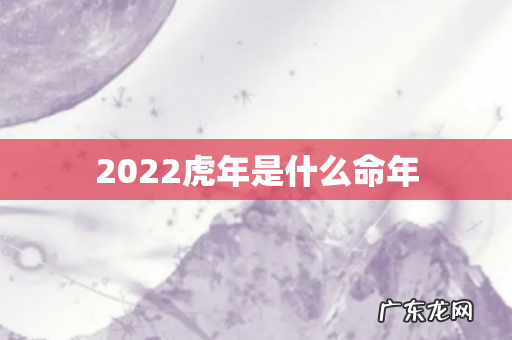 2022虎年是什么命年