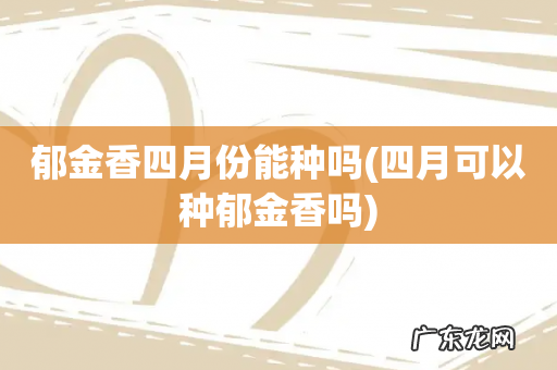 四月可以种郁金香吗 郁金香四月份能种吗