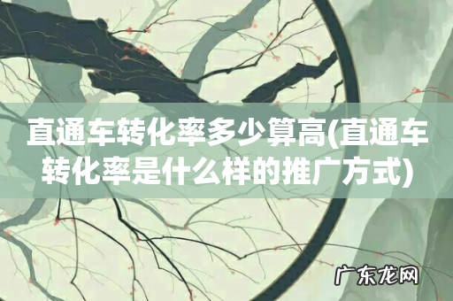 直通车转化率是什么样的推广方式 直通车转化率多少算高