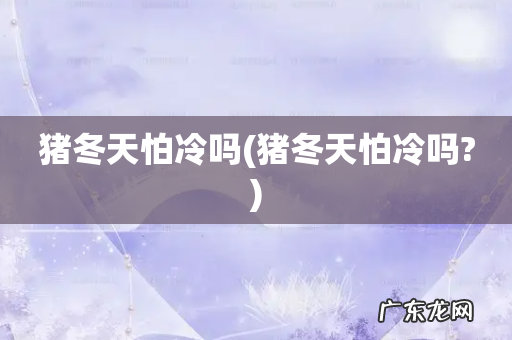 猪冬天怕冷吗? 猪冬天怕冷吗