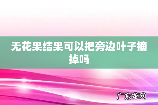 无花果结果可以把旁边叶子摘掉吗