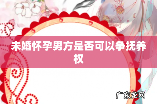 未婚怀孕男方是否可以争抚养权