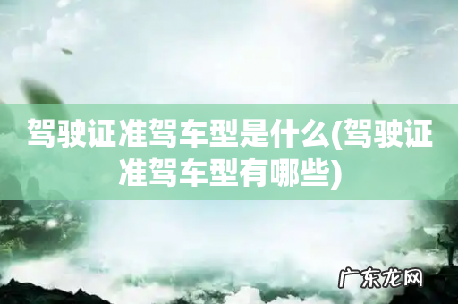 驾驶证准驾车型有哪些 驾驶证准驾车型是什么