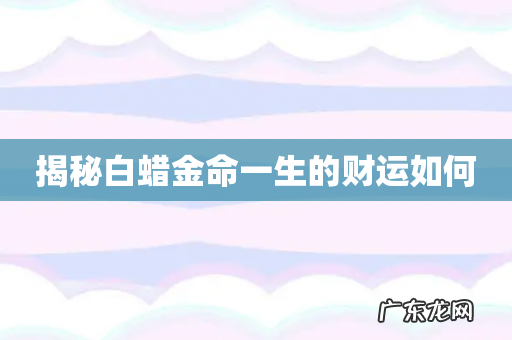 揭秘白蜡金命一生的财运如何