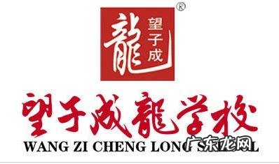 成都成人教育机构有哪些 成都的培训学校有哪些