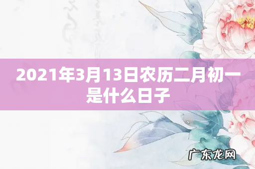 2021年3月13日农历二月初一是什么日子