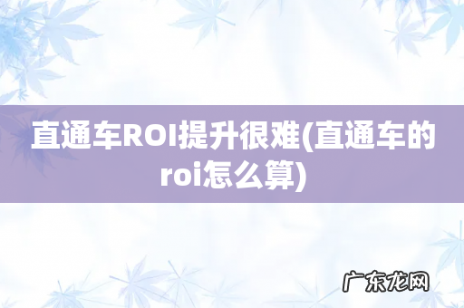 直通车的roi怎么算 直通车ROI提升很难