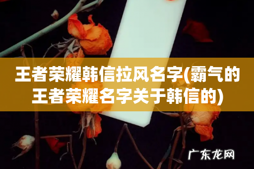霸气的王者荣耀名字关于韩信的 王者荣耀韩信拉风名字