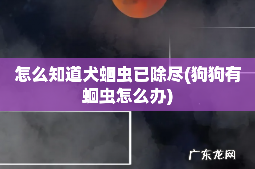 狗狗有蛔虫怎么办 怎么知道犬蛔虫已除尽