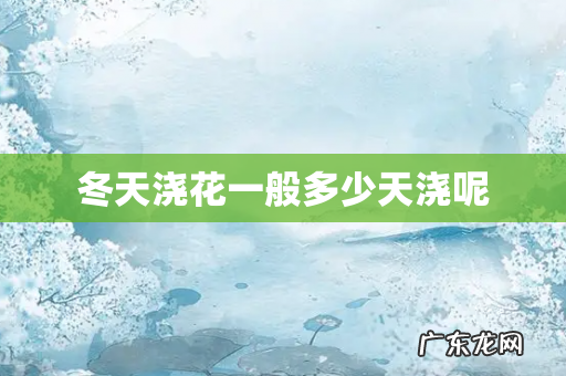 冬天浇花一般多少天浇呢