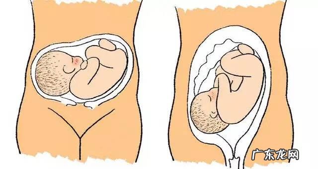 胎儿打嗝需要安抚吗 胎儿打嗝的地方是什么部位