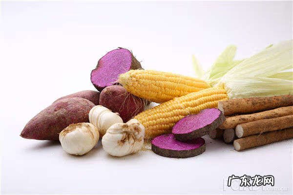 何首乌怎么吃好 道地何首乌怎么吃