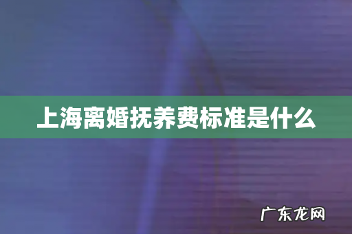 上海离婚抚养费标准是什么