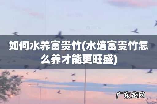 水培富贵竹怎么养才能更旺盛 如何水养富贵竹