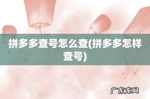 拼多多怎样查号 拼多多查号怎么查