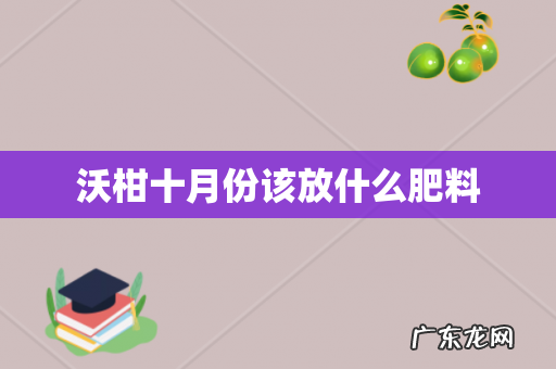 沃柑十月份该放什么肥料