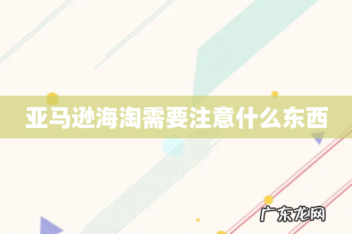 亚马逊海淘需要注意什么东西