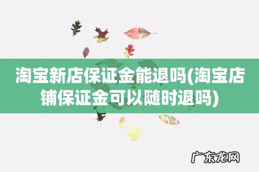 淘宝店铺保证金可以随时退吗 淘宝新店保证金能退吗