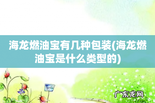 海龙燃油宝是什么类型的 海龙燃油宝有几种包装