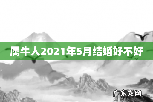属牛人2021年5月结婚好不好