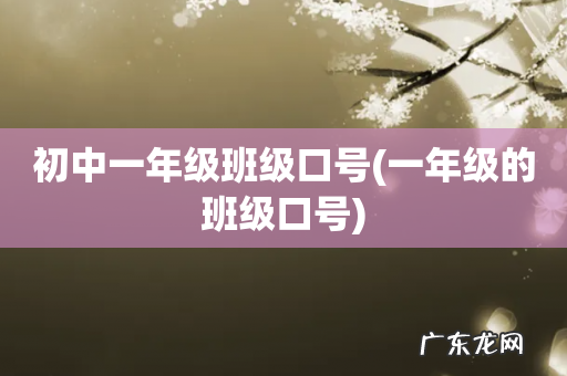 一年级的班级口号 初中一年级班级口号