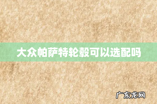 大众帕萨特轮毂可以选配吗