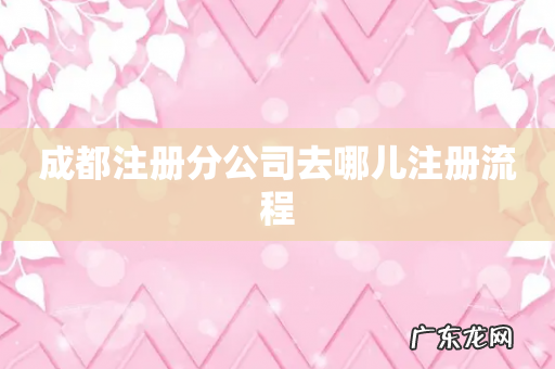 成都注册分公司去哪儿注册流程