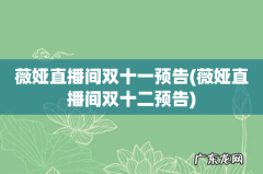 薇娅直播间双十二预告 薇娅直播间双十一预告