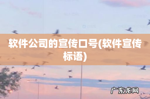 软件宣传标语 软件公司的宣传口号