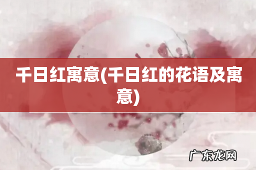 千日红的花语及寓意 千日红寓意