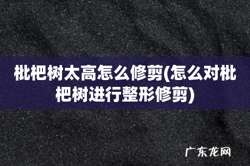 怎么对枇杷树进行整形修剪 枇杷树太高怎么修剪