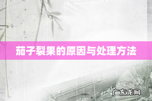 茄子裂果的原因与处理方法