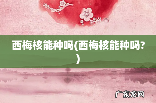 西梅核能种吗? 西梅核能种吗