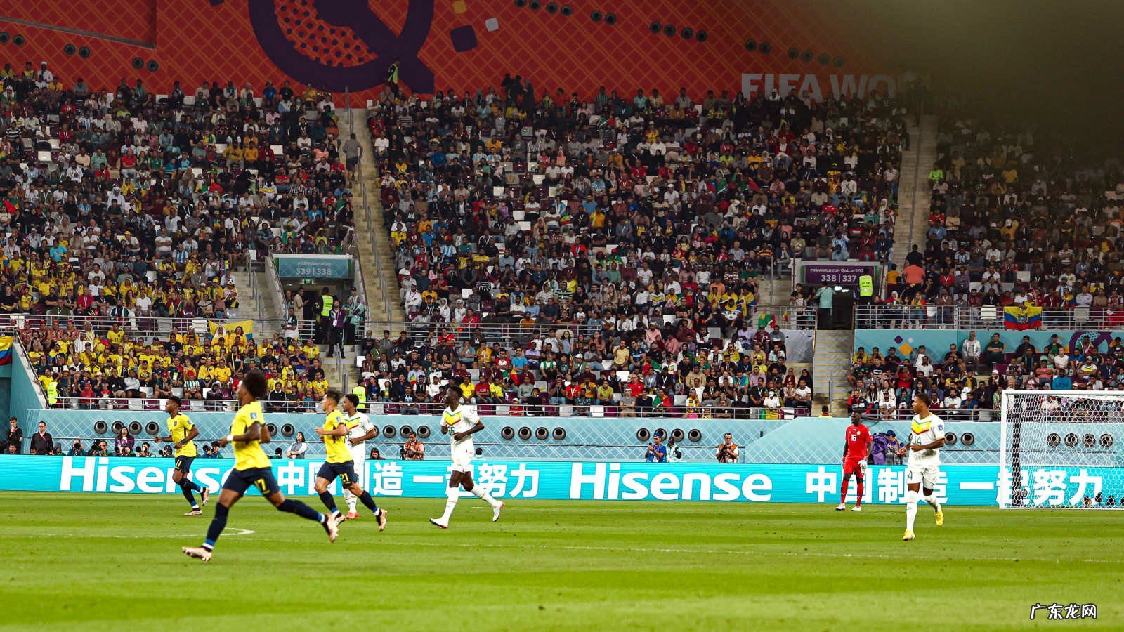 狮王本色！库利巴利撞翻厄瓜多尔，7次对抗10次解围当选全场最佳