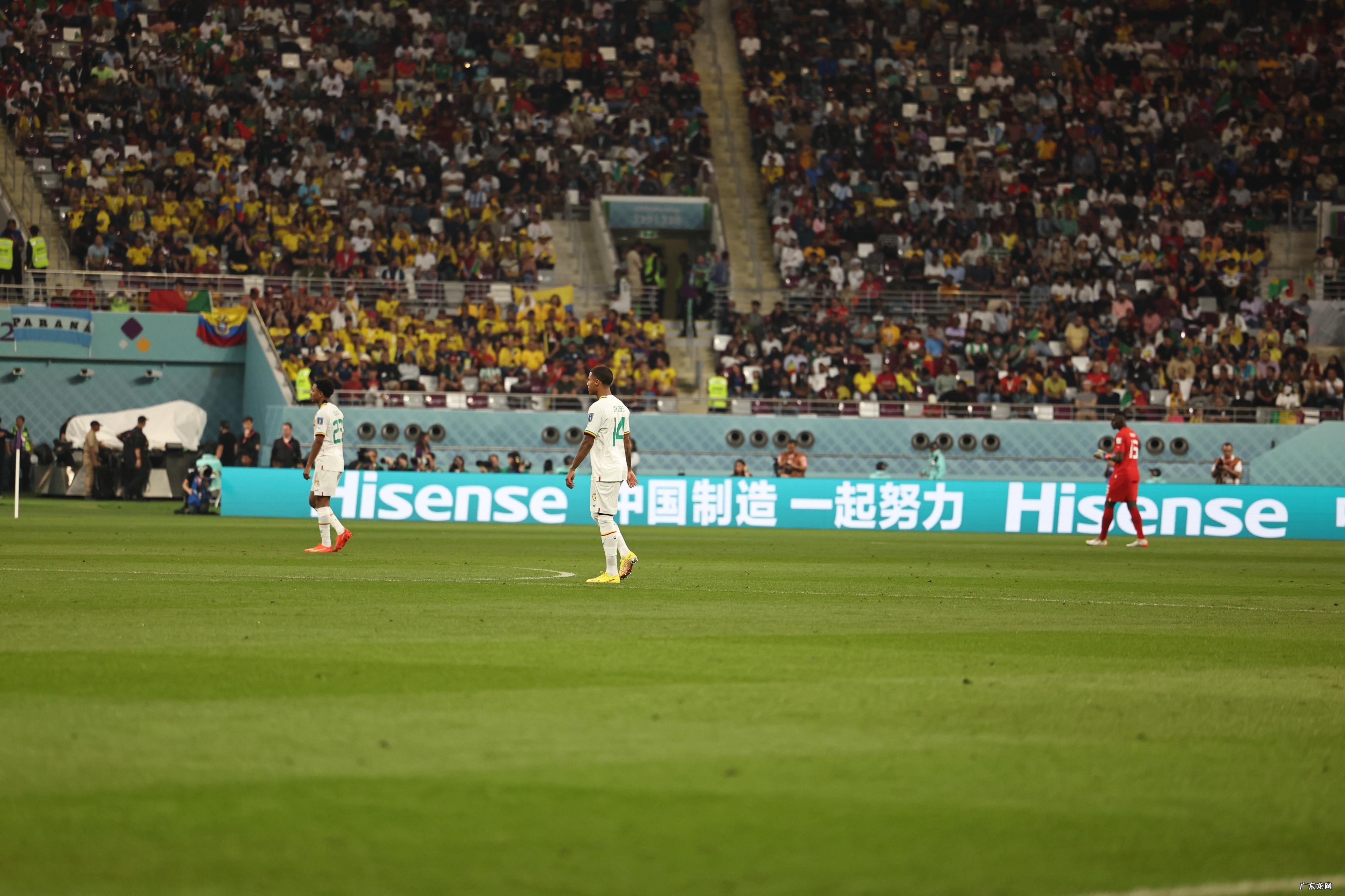 狮王本色！库利巴利撞翻厄瓜多尔，7次对抗10次解围当选全场最佳