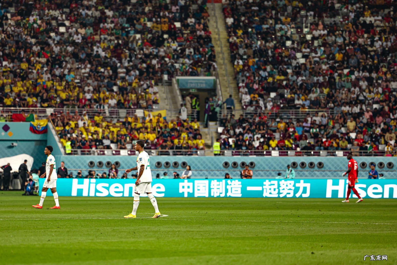 狮王本色！库利巴利撞翻厄瓜多尔，7次对抗10次解围当选全场最佳