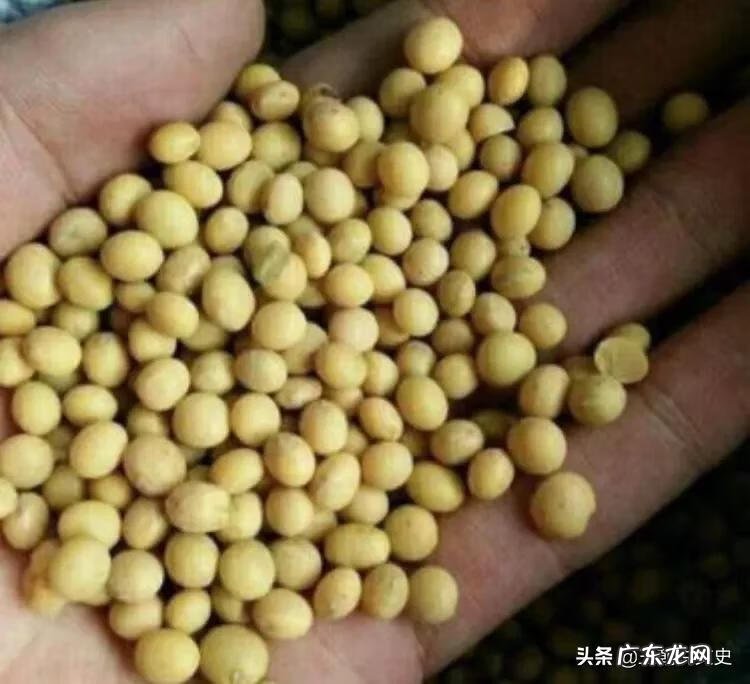 床下放钱有什么说法吗 床下放黄豆是什么意思