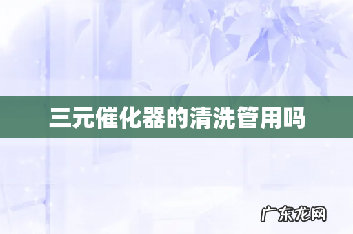 三元催化器的清洗管用吗