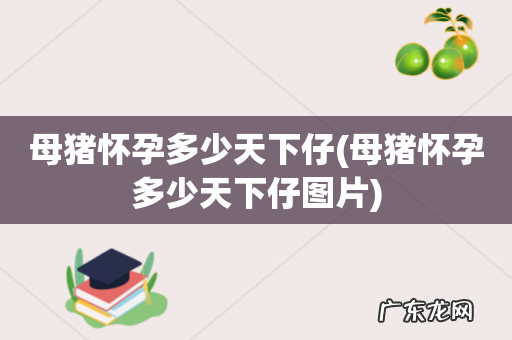 母猪怀孕多少天下仔图片 母猪怀孕多少天下仔