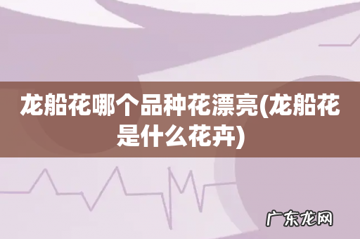 龙船花是什么花卉 龙船花哪个品种花漂亮