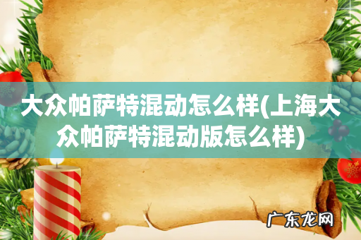 上海大众帕萨特混动版怎么样 大众帕萨特混动怎么样