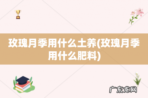 玫瑰月季用什么肥料 玫瑰月季用什么土养