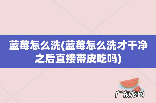 蓝莓怎么洗才干净之后直接带皮吃吗 蓝莓怎么洗