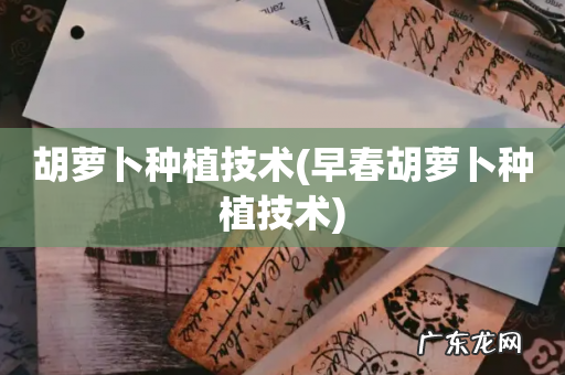 早春胡萝卜种植技术 胡萝卜种植技术