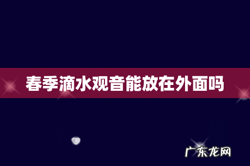 春季滴水观音能放在外面吗