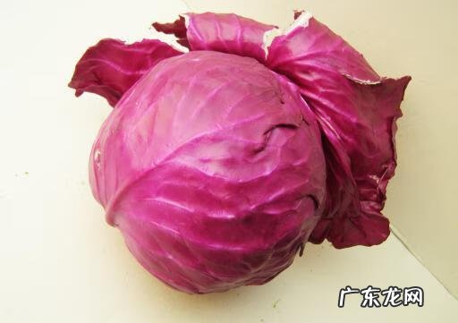 紫甘蓝的四种家常做法 紫甘蓝的做法大全家常