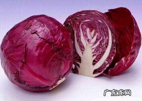 紫甘蓝的四种家常做法 紫甘蓝的做法大全家常