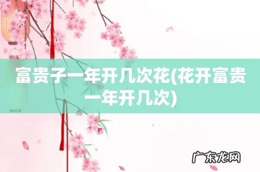 花开富贵一年开几次 富贵子一年开几次花